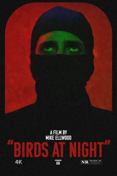 Birds at Night