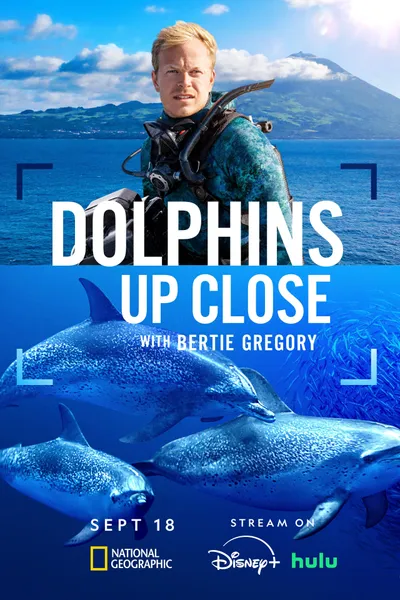 Dolphins Up Close with Bertie Gregory