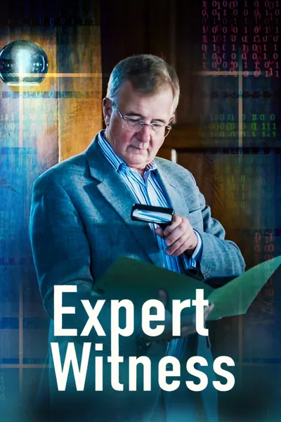 Expert Witness