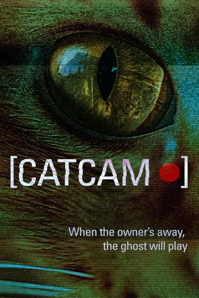 Cat Cam